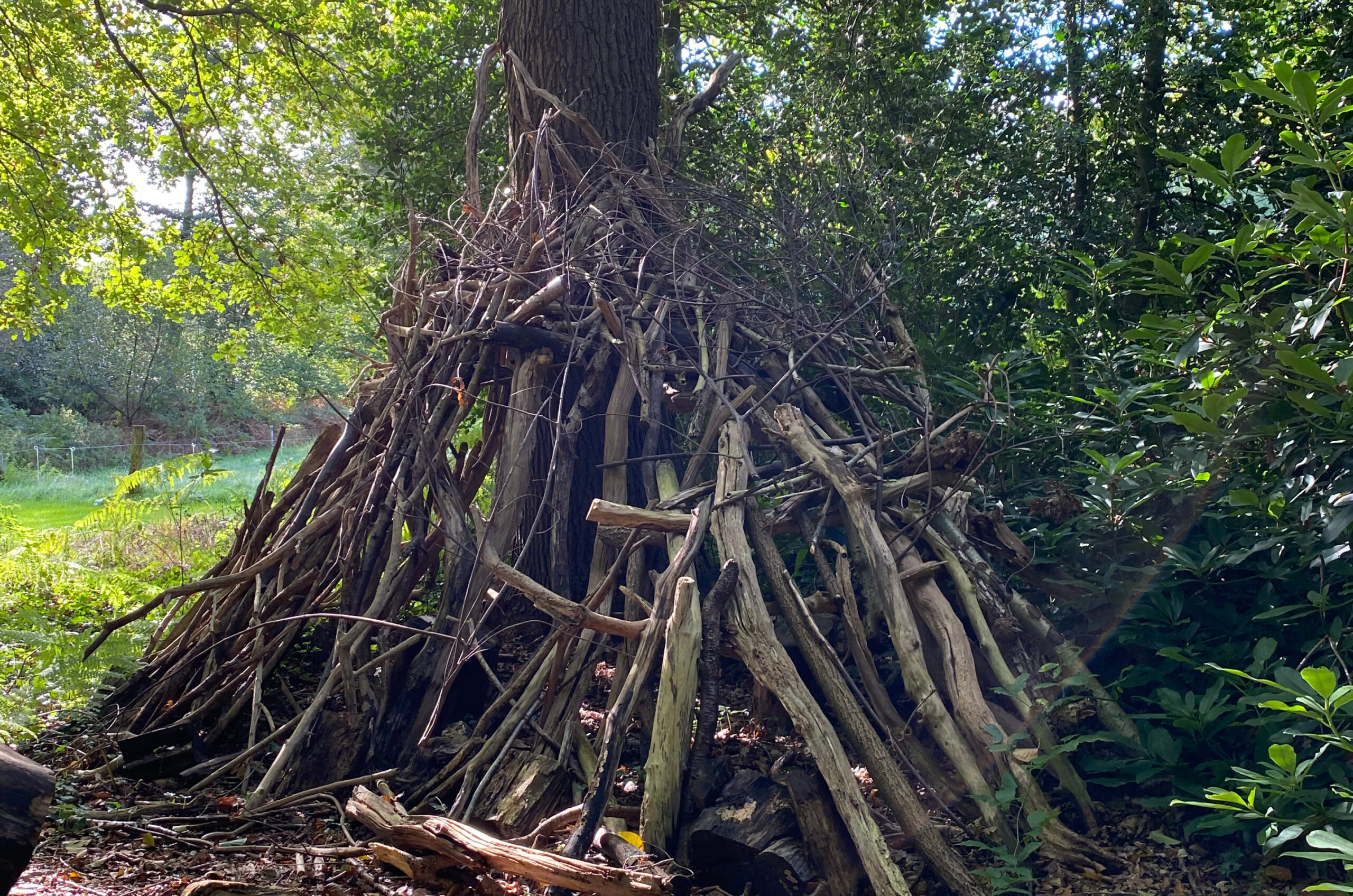 Buiten omgeving accommodatie in Delden.